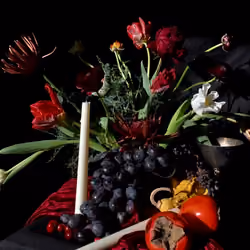 "A Still Life" Night 