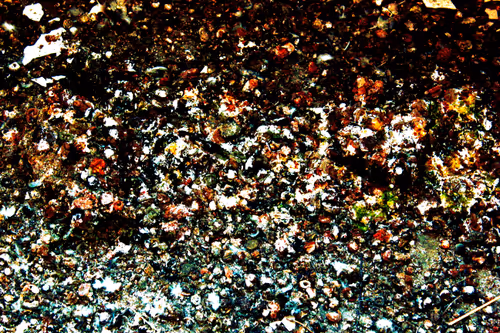 Item #106724480225674234207905183148312565268453477857390453009567810405739064721409 Media