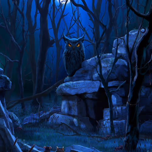 The Wizard Owl is Awake