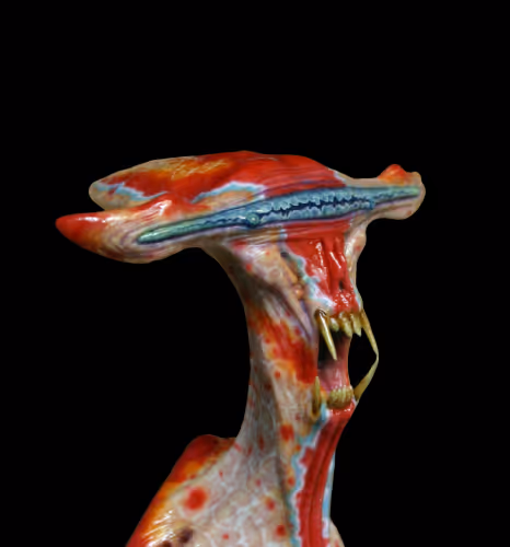 97107590523923761146299885224419256175613868444109951227489717529958080839681