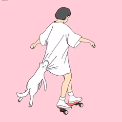 Bad Luck with a White Dog