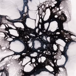 93517858934538610296799104720857224042243540248850289661824237435285376335873