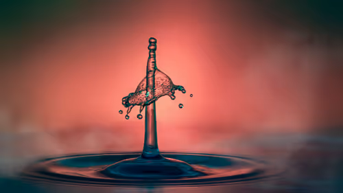 Item #46452483458583203516315982978938450085819332447988047322207474296863212961793 Media