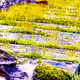 92299409133032144089600655115790649494839037311908385751490453313035184373761