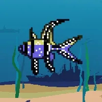 Etherfishing