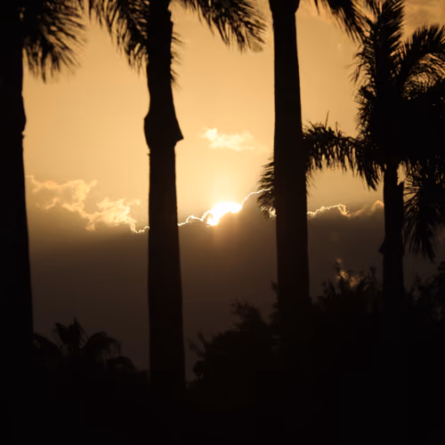 Sunset #2