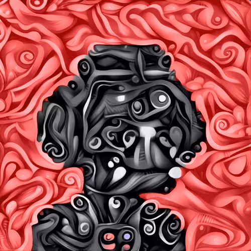 Magicarpe Collection