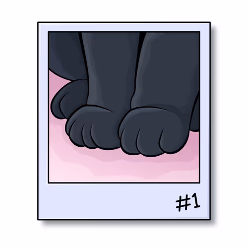 Item #92850192620245271140481733431825661041402859198986386785004059388144483565569 Media