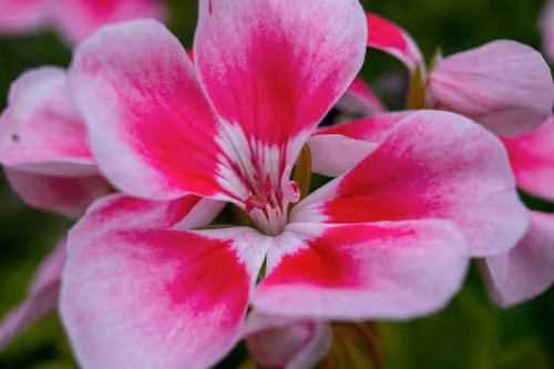 Item #5699665208779024996683959059412281030737296193224804872429037347245819691009 Media