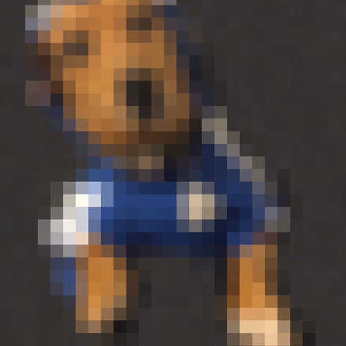 Adidog