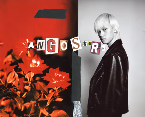 Item #62724315387162242478460627482990637416991090853413426993633640755343766061057 Media