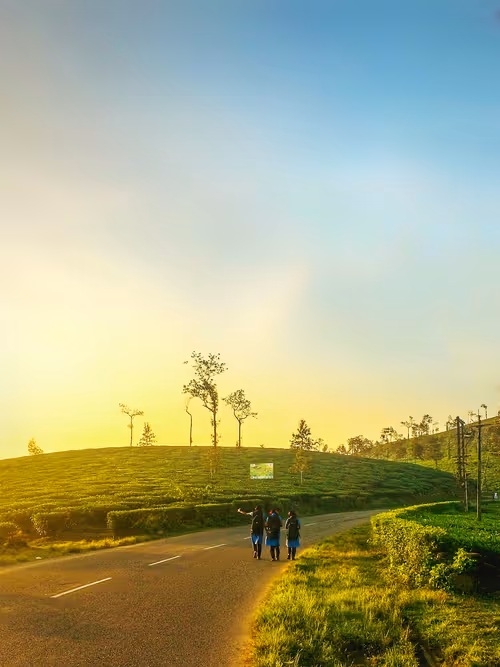 Item #11108585088996268500015345395682222716748547435027912947663154253373185720321 Media