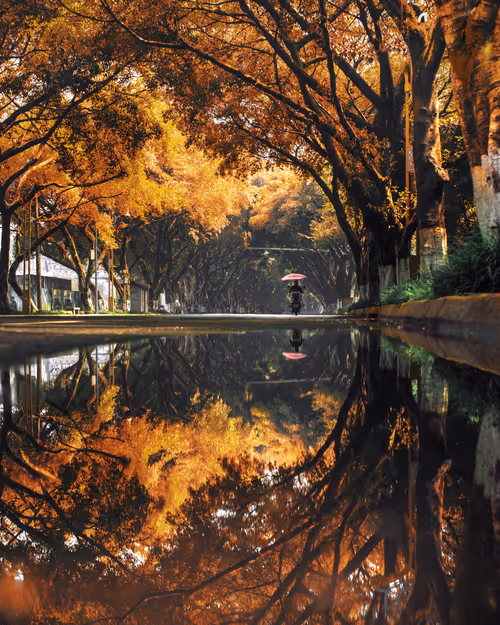 Item #14416656700475663864726672344569766568452912279528818547653479113139448446977 Media