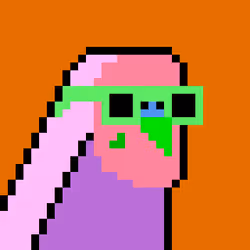 Budgie #293