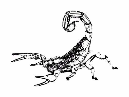 Item #32280227684796633281509489685107784796052920964773961429317660105793337294849 Media