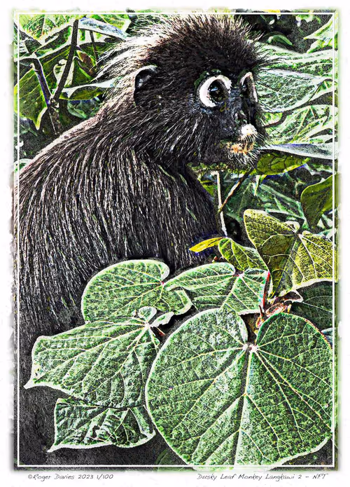 Item #113829610119937179277145653237989536661159515398728099625049874715040660062209 Media