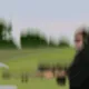 57153772934512344125564190488335439368434182247341921489732092669099635638273