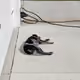97642791816760431730061303778295745386189983756849616140061382308128159170561