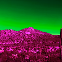 Desert Illusion