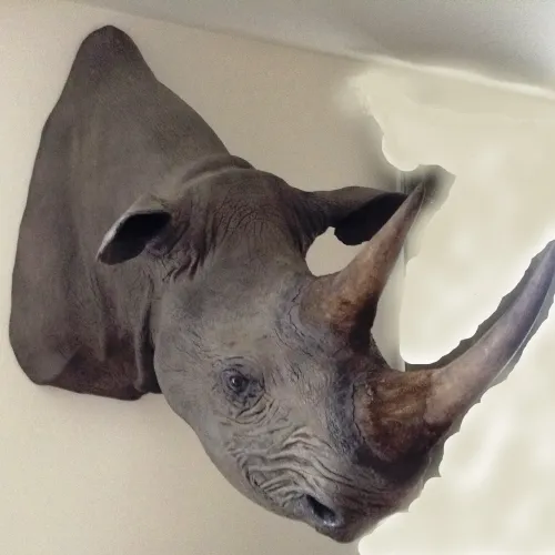 cb2me Collection - old