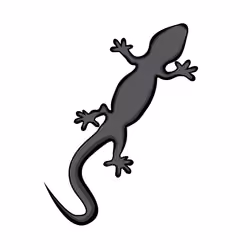 Lizard ID 1