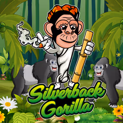 27239952631208204475550635203214834624309968041134471540447875597408567033857