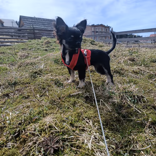 Untitled Collection #3063785982