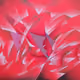 28345172587025198549402037348786888232203330832087113430431014178968368578561