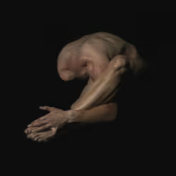 64937308923702188921050477922985568255563615287509163663175392091354613940225