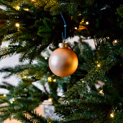 #4 Festive feeling