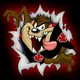 TOONSKIs