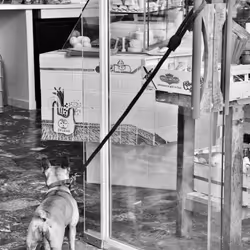 40449787652065743018640773044495240111019622512701765753694832750964162691073