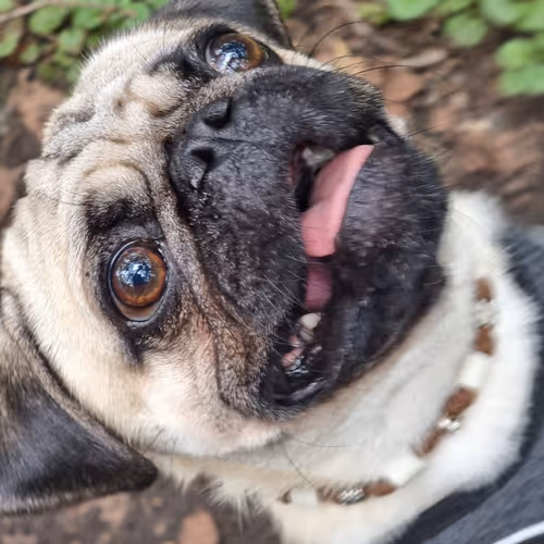 Untitled Collection #36552412