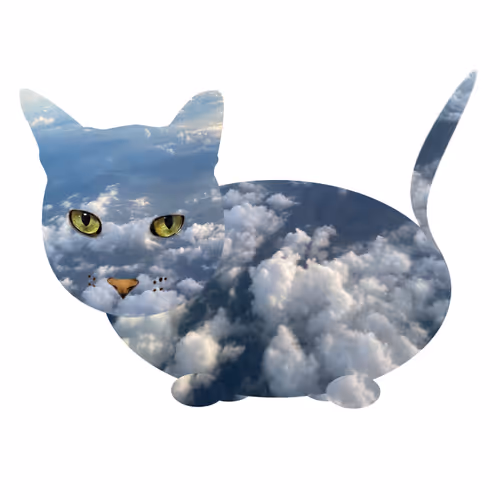 Item #7075100801842414929541159204983769780243264764604993181312715155475661848577 Media