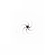 12926291449031890024352216783282886437542131259919677999329840978415390294017