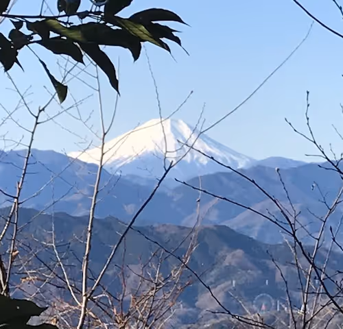 Untitled Collection #358508050