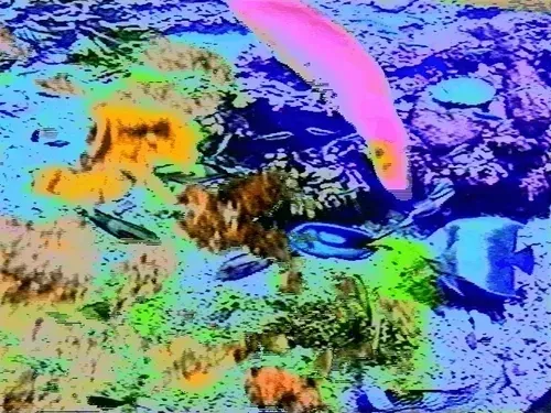 Item #50586045322935652405689262764889663081015802704882758935723149317562242695169 Media