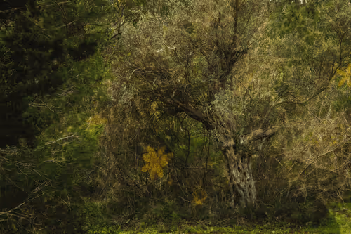 Item #1448819722811812157553440872911488319417736624981688873626406761692905078785 Media