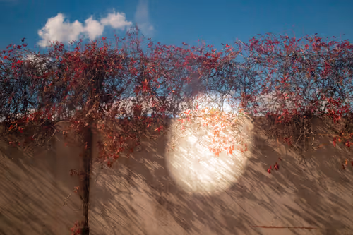 Item #8293050977498067439738640211663030445621008093446820664285480985519412215809 Media