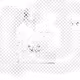 12119635626563040950583261189955244471069546965228747073129938180567952523265