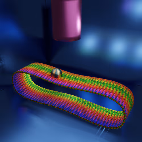 Item #79766767225734318577900366772134116135711362522494259260879660210012129591297 Media