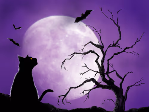 Item #49543221765173905469086434254543082575420429147691128671322516032870840008705 Media