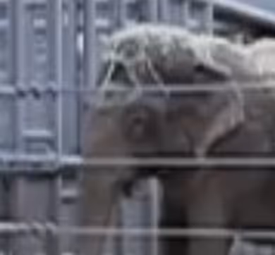 Me at the zoo