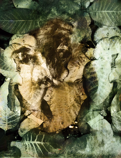 Item #43486627025047372311211479891111906998226383946028665950192622754947271753729 Media