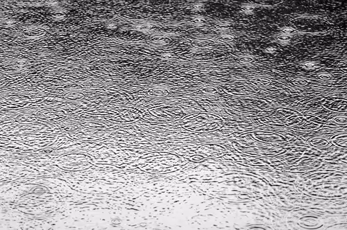 Item #34419557654745239664561952341070436504868109465490192834981352986264742133761 Media