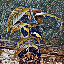 81269833061274051173789884418282317830923519221172308843662164531848608219137