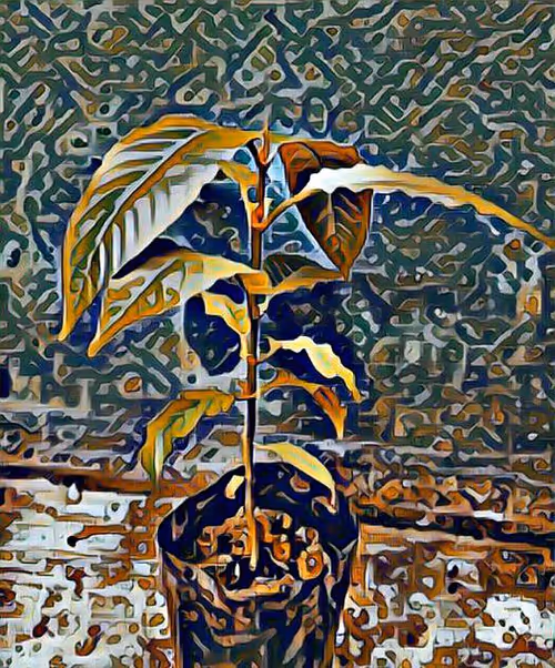 Item #81269833061274051173789884418282317830923519221172308843662164531848608219137 Media