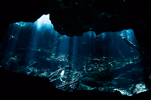 Item #25422583313571458459737529461820134862175223810011730482418987940935700054017 Media