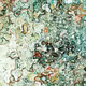 AI Palette