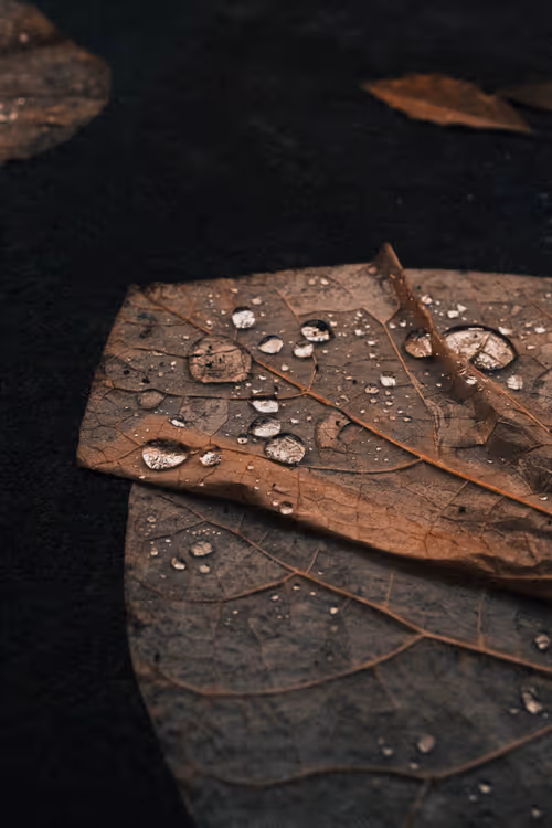 Item #103066555971611021134149055345018438449666255846358212838134356841088711393281 Media